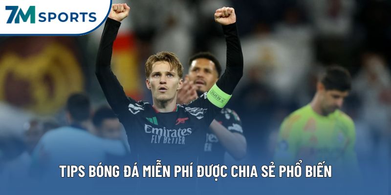 Tips bóng đá miễn phí được chia sẻ phổ biến trên Internet